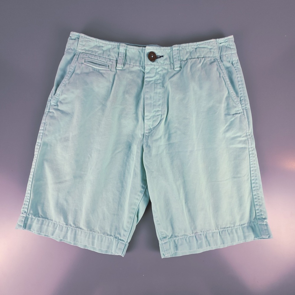 American Eagle Mens 30 Chino Shorts Flat Front Mint/Seafoam 100% Cotton